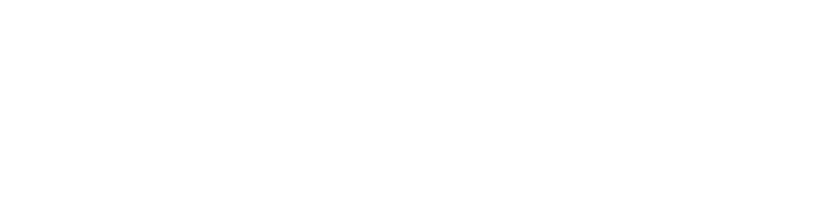 打南边儿来了个胖砸